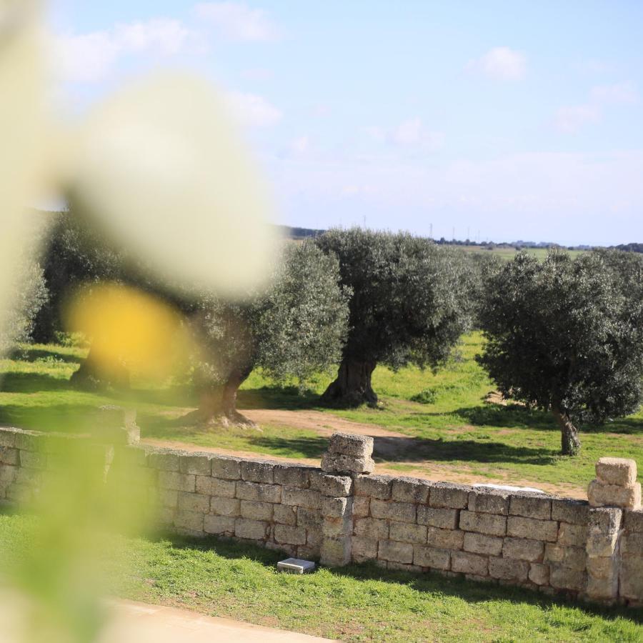 Masseria Cuturi Мандурия Экстерьер фото